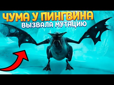 Видео: БОЛЕЗНЬ ПИНГВИНА ВЫЗВАЛА МУТАЦИИ ( Zoochosis )