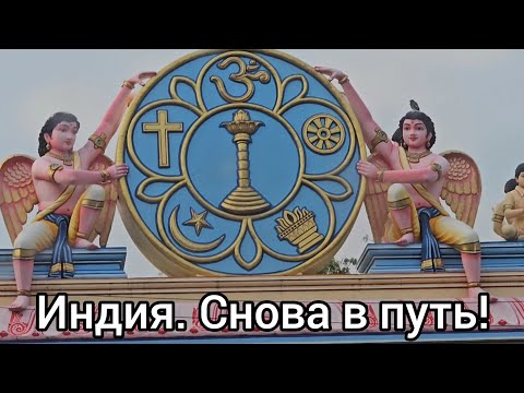 Видео: Айнанэ в крови, чего дома-то сидеть? Уезжаем в путешествие. Травим тараканов.