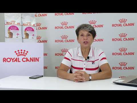 Видео: Генетика породообразующих аномалий. Ушки- завитушки: фолды и керлы.