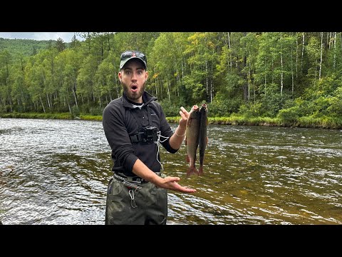 Видео: РЕКА - КРИСТАЛЛ и РЫБЫ ВАЛ! Хариус ЖРЁТ ВСЁ. Копчу улов на костре!