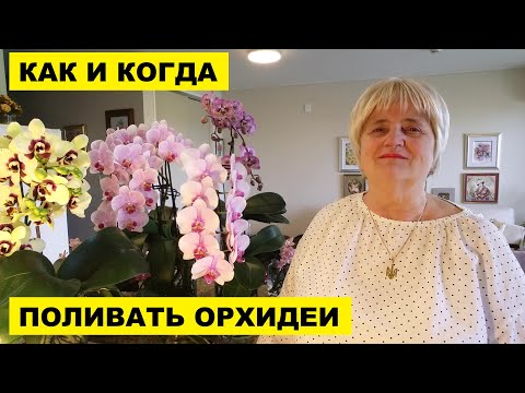 Видео: КАК И КОГДА ПОЛИВАТЬ ОРХИДЕИ В ПУСТОЙ ВАЗЕ