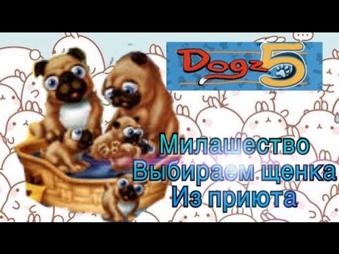 Видео: Dogz 5 #1 [ПУСЯ знакомимся]