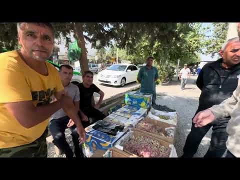Видео: ТАДЖИКИСТАН/Район ХАМАДОНИ/Мир огромен, иди исследуй/Hamadoni district/Tajikistan