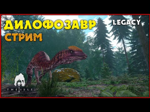 Видео: Выживание маленькой дилки [The Isle Legacy]. Стрим.