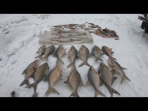 Видео: КИЛОГРАММОВЫЕ ЛЕЩИ, ЩУКА, ОКУНЬ!!! К.В.Х. МОРЕ. ФЕВРАЛЬ 2025 г.