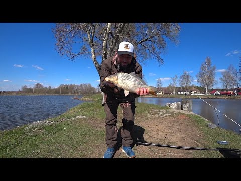 Видео: Гжелка. Наловили карпа. Поймал на флэт фидер. Утопили камеру. Панамафиш #41