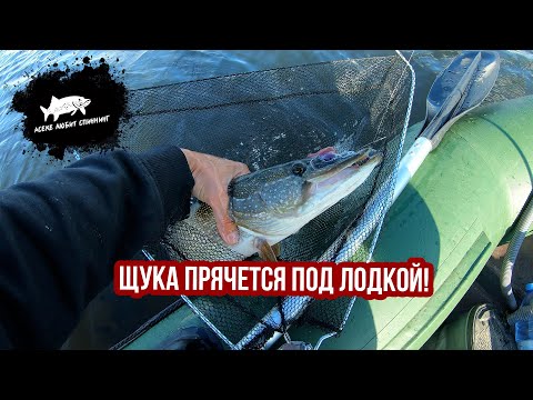 Видео: Вечерка на Ишиме #рыбалка #рыбалка2025 #рыбалканащуку