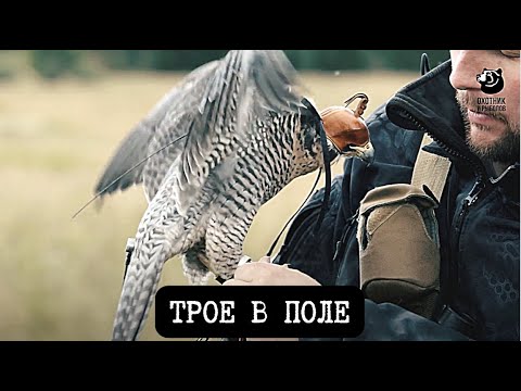 Видео: Трое в поле // Спутники охотника // Серия 4