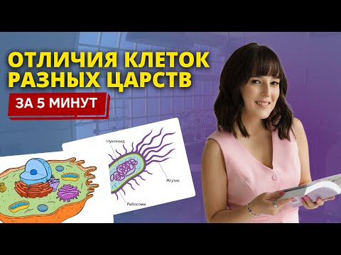 Видео: ОТЛИЧИЯ КЛЕТОК РАЗНЫХ ЦАРСТВ ДЛЯ ЕГЭ ПО БИОЛОГИИ