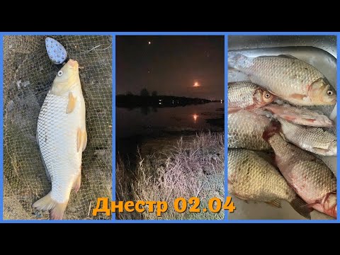 Видео: Первый сазан в этом сезоне. Рыбалка на реке Днестр (Маяки). Ловля плотвы и карася на фидер!