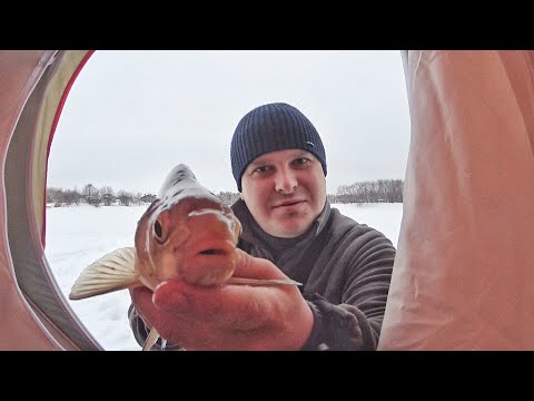 Видео: Охота на леща зимой на поплавочную удочку. Вазузcкое водохранилище.