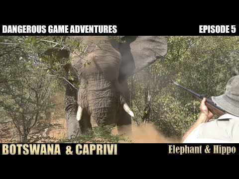 Видео: Слон чуть не убил нас. Охота в Ботсване.
