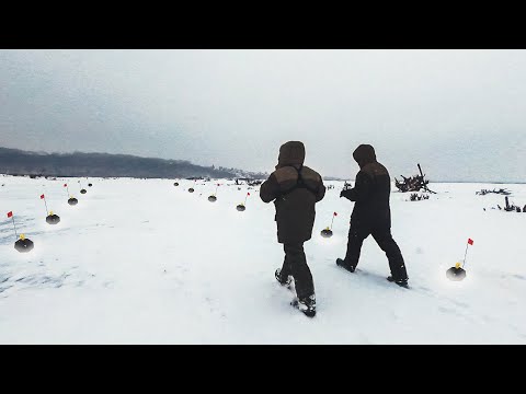 Видео: Почему я раньше не ловил на нее?? Ловля ЩУКИ на реке. Зимняя рыбалка 2022