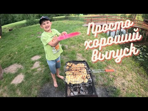 Видео: Просто отдыхаем. Немножко сёмги на обед.