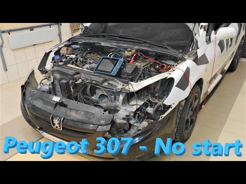 Видео: Peugeot 307 2.0 2004 - Добитий француз не запускається