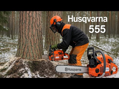 Видео: Мощь Husqvarna 555: Валим Ствол 70см Точно в Цель! 💪 Профи за Работой