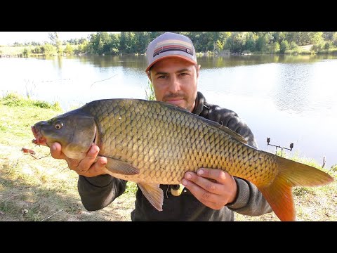 Видео: Дві Доби на Риболовлі. Короп Відривав Гачки. Ловля Коропа на Фідер