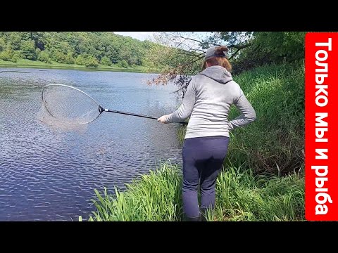 Видео: Жена любит это! Нашли укромное место на берегу спрятались от всех. Косуля приплывала. Рыба клевала