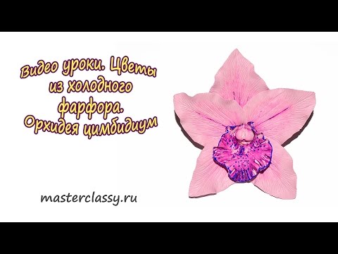 Видео: Цветы из холодного фарфора. Орхидея цимбидиум