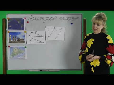 Видео: Геометрія. 7 клас. Прямокутний трикутник