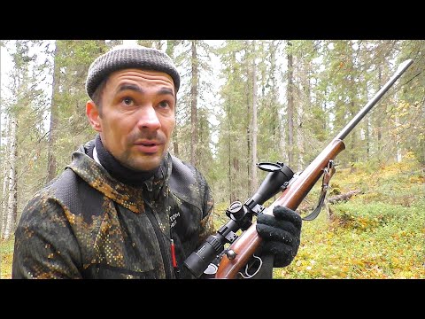 Видео: СТОЛЬКО РЯБЧИКОВ НЕ ВИДЕЛ ДАВНО! С ОДНОГО МЕСТА ВЗЯЛ ТРИ ШТУКИ / ОХОТА НА БОРОВУЮ ДИЧЬ С МЕЛКАШКОЙ.