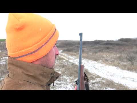 Видео: ГРУПОВ ЛОВ НА ХИЩНИЦИ В СОКОЛОВО КАРНОБАТ