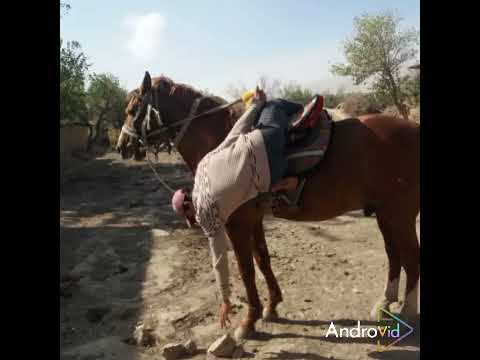 Видео: Мухриддин Чавондоз 🐎🐎🐎🐎