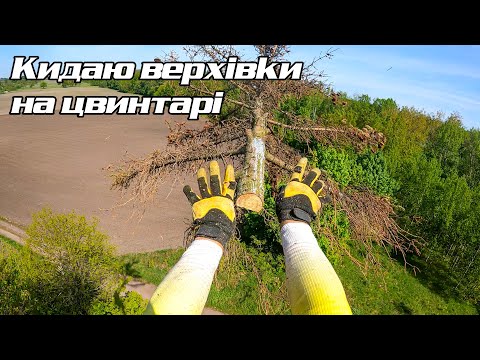 Видео: Дві ялинки на цвинтарі