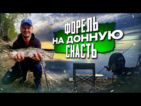 Видео: Ловля форели на донную снасть/Трофей попался!