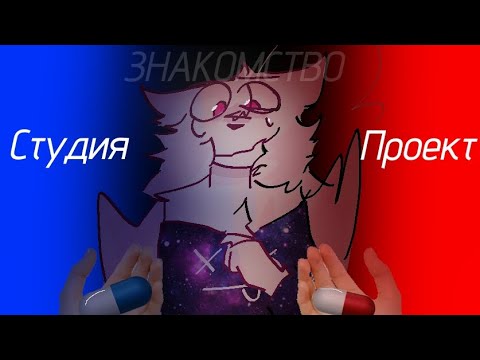 Видео: ЗНАКОМСТВО С НОВЫМ ПРОЕКТОМ И КОМАНДОЙ — ЧТО ЖЕ НОВОГО НАС ПОДЖИДАЕТ?🤨