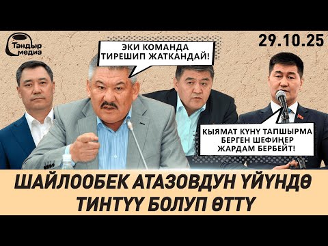 Видео: ШАЙЛОО эки достун ТИРЕШИНЕ айлануудабы?
