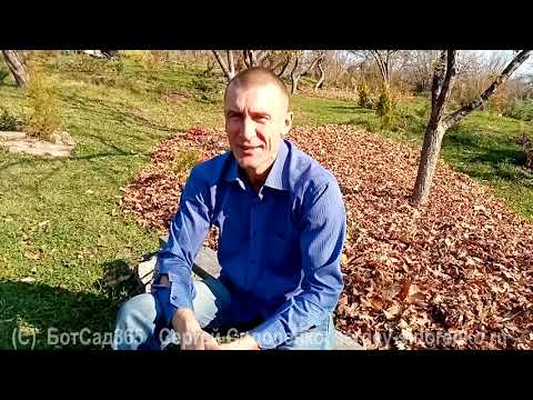 Видео: Переезд на землю 1 часть Введение