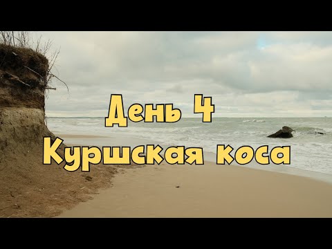 Видео: День 4. Шторм. Гуляем по Куршской косе. Ночной Зеленоград. Провожаем закат. Курортный проспект.