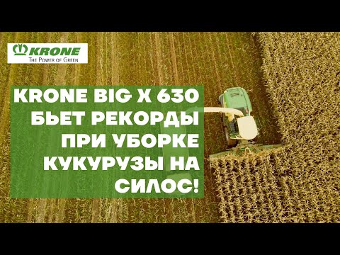 Видео: KRONE BIG X 630 бьет рекорды при уборке кукурузы на силос!