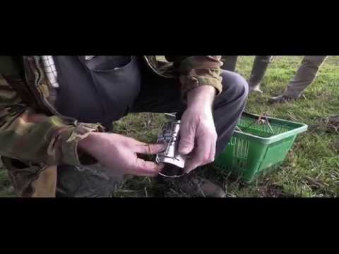 Видео: Борьба с вредителями: кротолов из Камбрии