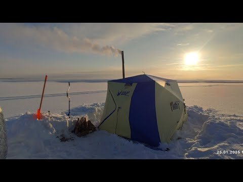 Видео: Камера5а туох эрэ кыьыл балык кестен ааста