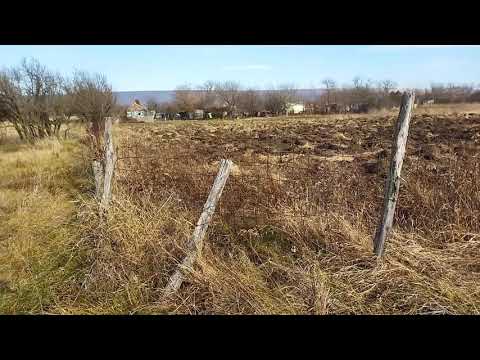 Видео: Мы в шоке. Кладбище за огородами.
