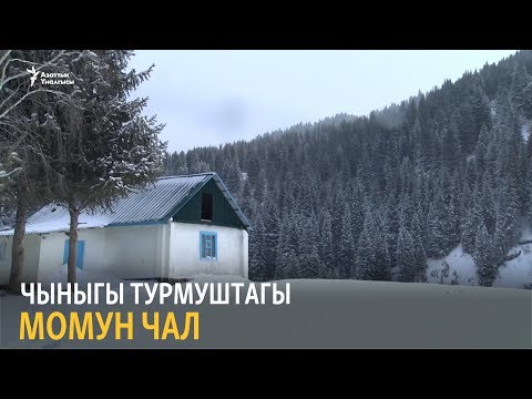 Видео: Чыныгы турмуштагы Момун чал