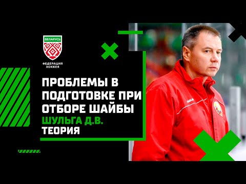 Видео: Шульга Д.В. Проблемы технико-тактической подготовки при отборе шайбы. Теория.