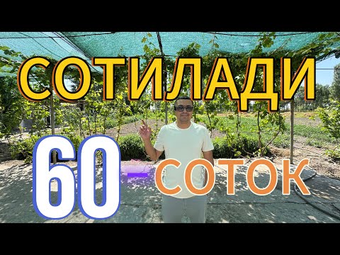 Видео: АРЗОН 60-СОТОКЛИ ХОВЛИ УЙ-ЖОЙ БОГЛАРИ БИЛАН ТЕЗДА СОТИЛАДИ.