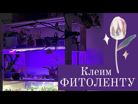 Видео: Обновление света на стеллаже! Клеим ФИТОЛЕНТУ!!!