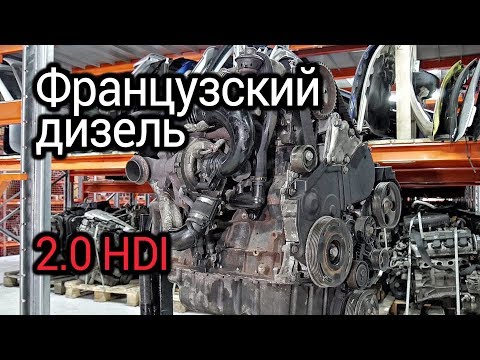 Видео: Самый надежный французский мотор? Разбираем турбодизель 2.0 HDI (DW10TD / RHY)