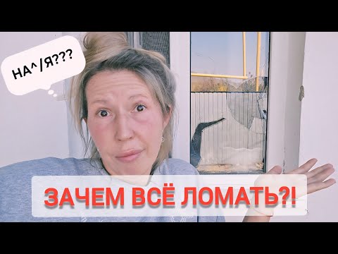 Видео: Про вандалищм в Казахстане🤯 и про музей😁#kazakhstan #вандалы 