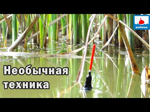 Видео: Новые секреты ловли ЛИНЯ ! Техника которая ловит!