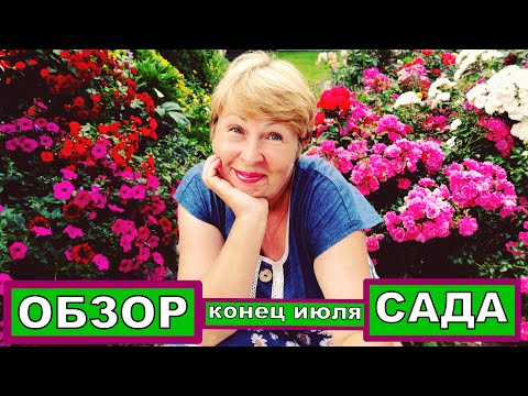 Видео: Самый цветущий месяц в саду. Роскошное цветение Роз, Гортензий, Фуксий, Пеларгоний.