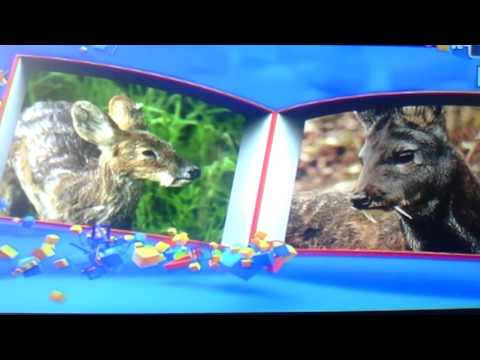 Видео: Телепередача Перемешка. Выпуск от 24.11.16