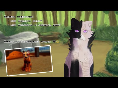 Видео: ПОМОЩЬ НОВИЧКАМ! | помогаем вам :3 #wcue #котывоители #warriorcats