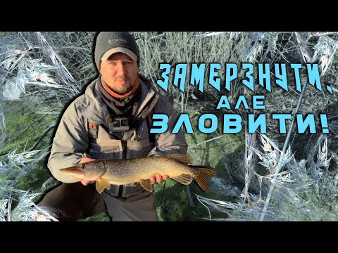 Видео: Я провів цілий день в крижаній воді, але ЗЛОВИВ!
