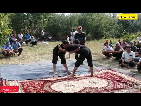 Видео: Курош // Атактуу, жаш балбандар каттуу тартыш болду // Кок-Талаа суннот той 22.08.2022