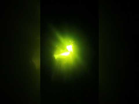 Видео: 10 октября 2025 г.